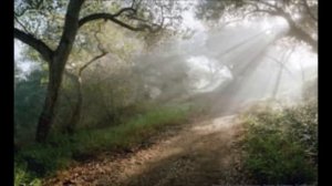 Шмуэль Ципен, МОШЕ ПЕРВЫЙ МЕССИАНСКИЙ ЕВРЕЙ - ПРОПОВЕДЬ