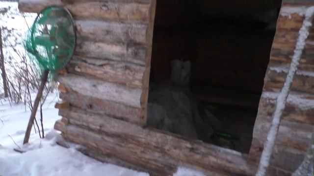 В гостях у карельских рыбаков. Рыбалка с карелами зимой. смотреть онлайн