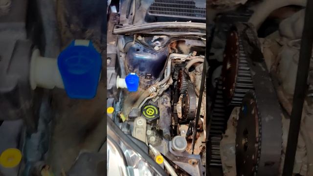 Замена ремня ГРМ Ford Kuga 1 2.5T смотреть онлайн