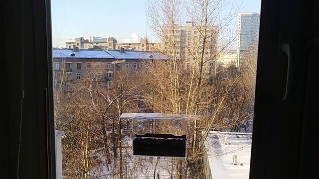Зимняя кормушка для синичек на моем окне смотреть онлайн