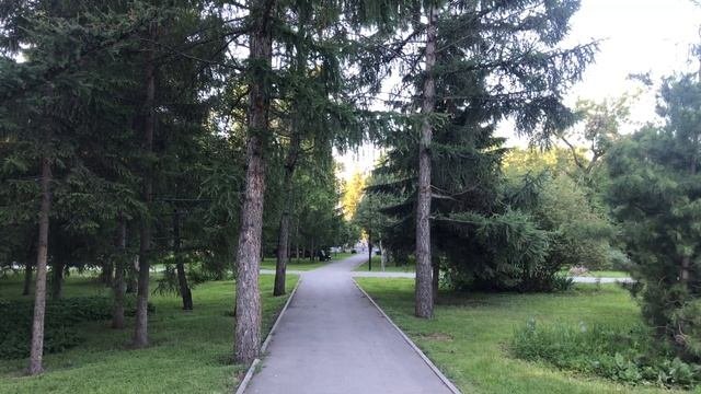 Видео зарисовки летнего Новосибирска. Про Новосибирск.