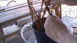 Снова плетем русскую пальму