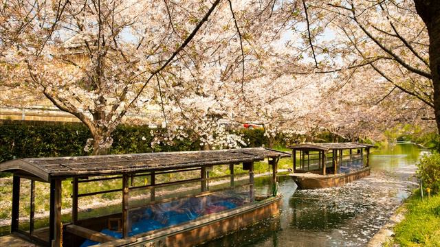 Find Your True Peace With Melody of Japanese Bamboo Flute , Guzheng, Erhu смотреть онлайн