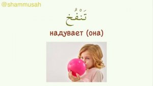 Топ 20 нужных глаголов на арабском языке | Урок арабского языка | часть 1