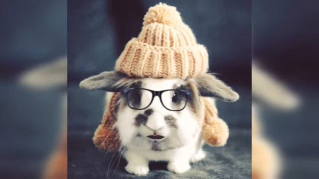 СКАЗКА ДЛЯ ДЕТЕЙ "Мышка, которая ела кошек" смотреть онлайн