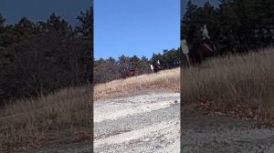 Рыбалка в Крыму на Симферопольском водохранилище. #крым #рыбалка.