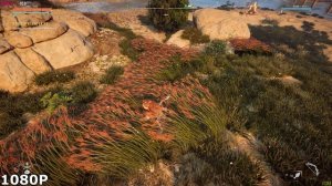 1920x1080 vs 2560x1440 ( SHARPEN COMPARISON )