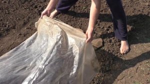 ☘ Посадка огурцов в парник семенами для получения раннего урожая
