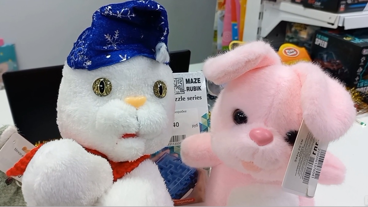 Тошик переехал на новое место работы в Новый год