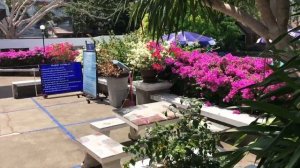 Обзор отеля Villa Navin / Пляж Джомтьен / Тайланд / Наше 7-е Путешествие в Паттайю часть 2