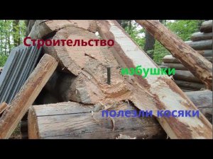 Строительство таёжной избушки. ч.6 Полезли Косяки. #лес #hunting #survival #природа #рыбалка