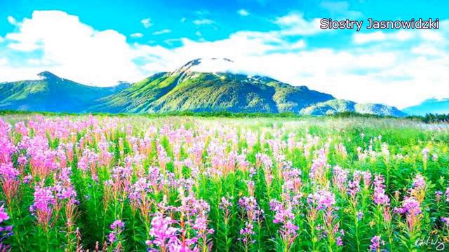 Sekretny plan zniszczenia rolnictwa caly film odc 1,2,3 Siostry Jasnowidzki wizja смотреть онлайн