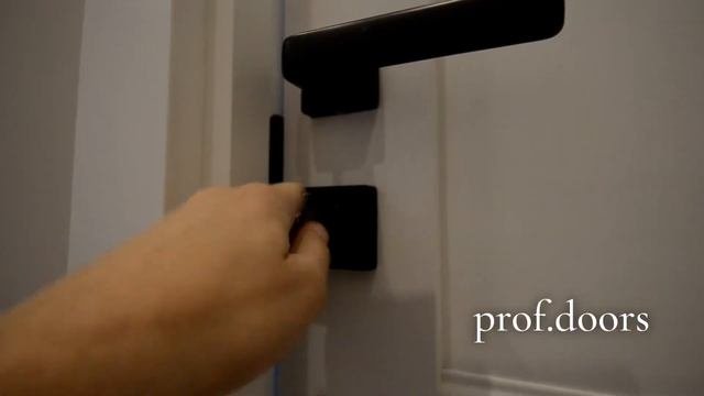 Высокие двери PROFILDOORS