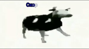 Мем корова танцует под польскую музыку но скорость становится больше