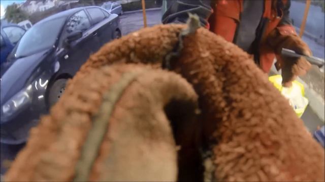 Перенос рычага кпп ВАЗ 21214 смотреть онлайн