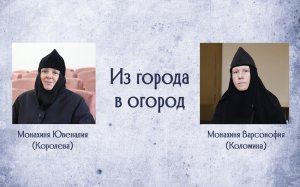 Из города в огород