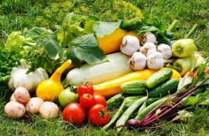 Как подготовить плодородную почву для хорошего урожая_ простые советы по окультуриванию почвы.mp4