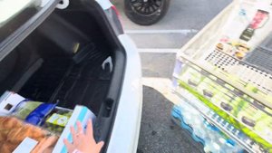 Возвращение блудных Трубачей. Жизнь в Америке бьёт ключом. Влог дня из США