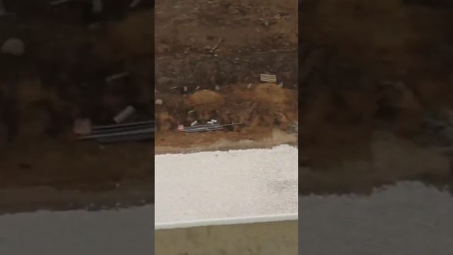 Кровельная черепаха: устройство плоской кровли