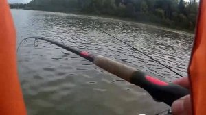 ловля судака щуки река чулым