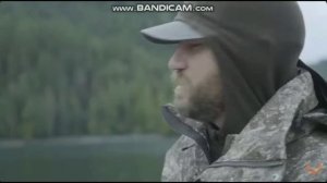 Черный медведь Аляски