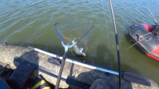 Достойные судаки Дона!!!! смотреть онлайн