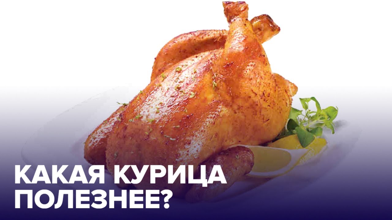 Правда и мифы о КУРИЦЕ: какая ПОЛЕЗНЕЕ?