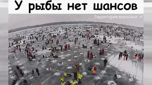 Видеонарезка про охоту и рыбалку.  Часть 1