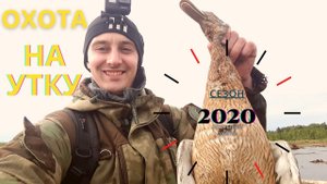 Охота на утку. Сезон 2020. Открытие охоты.