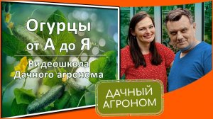 Плохой урожай ОГУРЦОВ? Не слышали! Используем эти 7 научных методов и собираем урожай ведрами