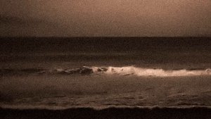 the pain of recalling memories of an empty life (playlist)