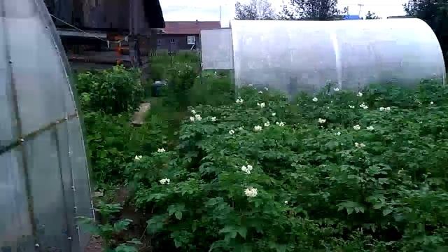 Баня из поликарбоната ( обновлённый вариант ). смотреть онлайн