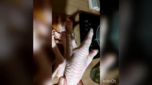 СУПЕР ИНДЮШИНЫЕ ЛАПКИ!!!🦃🦃🦃👍👍👍