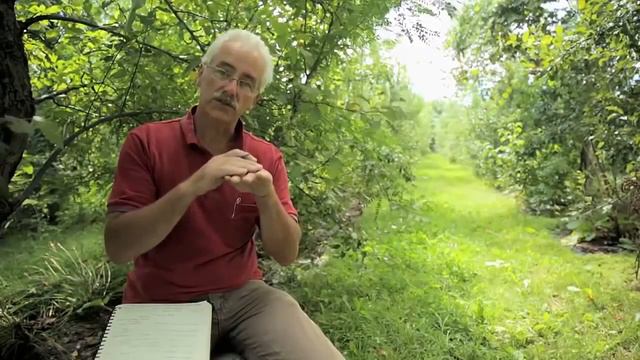 Пермакультурный сад Вопрос ответ со Стефаном Собковиаком смотреть онлайн