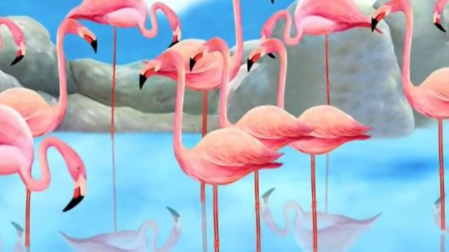 Изучите азбуку Z для Zebra смотреть онлайн