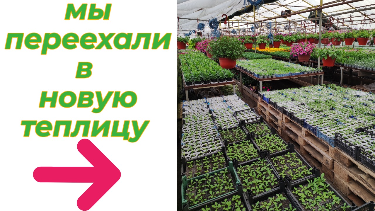 Показываем и рассказываем про основную теплицу. Теплица 25 х 10 из поликарбоната и металлопрофиля.