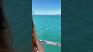 Ресторан «Горыныч»  Геленджик