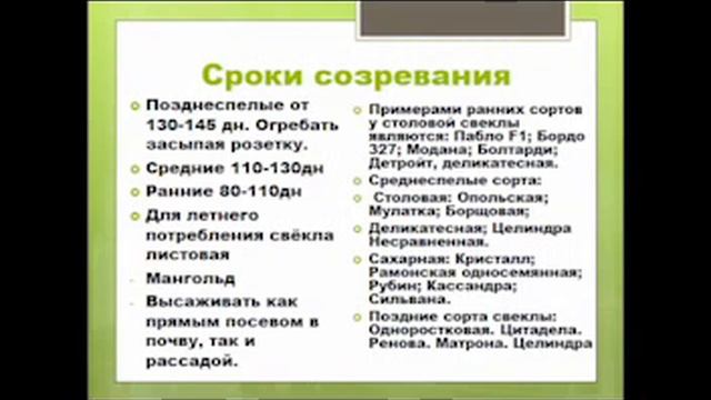 Корнеплоды. Посев и выращивание. Кольцова Ирина. Франгмент. смотреть онлайн