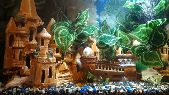 RELAX АКВАРИУМ ~ RELAX МУЗЫКА смотреть онлайн