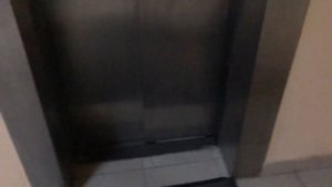 Лифты МЛМ 2014 г. в. @ ТЦ Ленинград