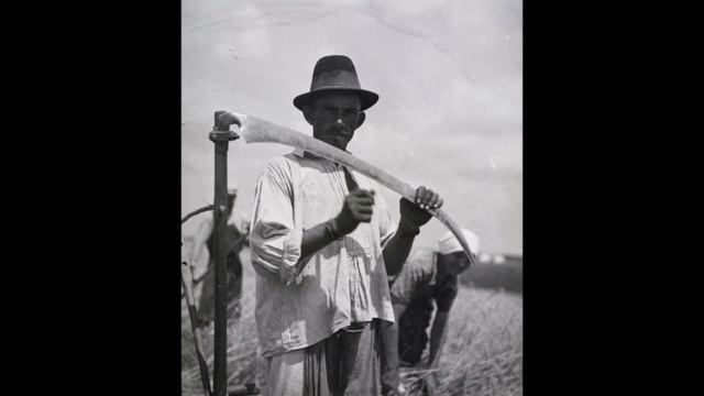 Циганська полька смотреть онлайн