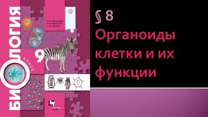 Параграф 8. Органоиды клетки и их функции