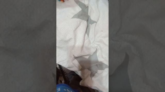 помогаю подруге соберать рюкзак в школу смотреть онлайн