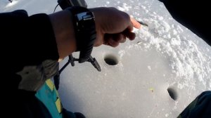 Зимняя Рыбалка Без ПАЛАТКИ и КОМФОРТА!!! Поклевки Леща и Плотвы на ПОПЛАВОК!