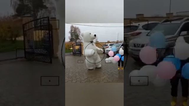 с Днём Рождения от белого медведя для прекрасной принцессы #умка #великийновгород #праздник #shorts