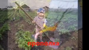 Детям о картофеле