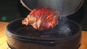 Обзор керамического гриля барбекю Primo