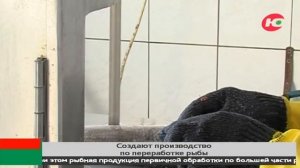В Югре ищут инвесторов для нового производства по переработке рыбы