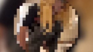 СПЛИТИКА ТРЕШ КОНТЕНТ