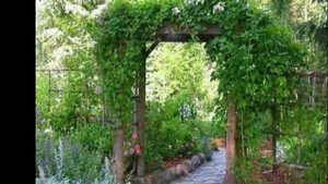 Красивые опоры для вьющихся растений